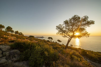 Scenic view of sea against sky during sunset