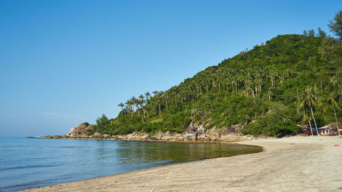 Scenic view of beach against clear blue sky