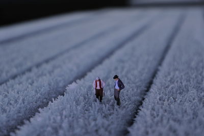 High angle view of people on snow covered land