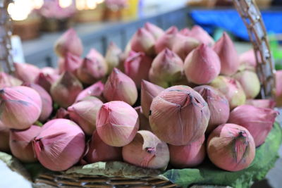 Close-up of pink for sale in market