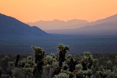 Scenic view of mountains and field in foggy weather during sunset