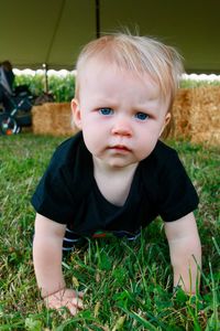 Portrait of cute boy crawling in grass
