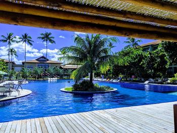 View of swimming pool in garden