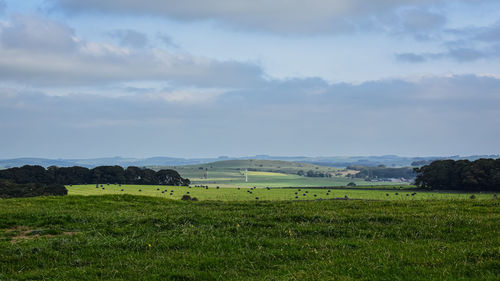 Scenic view of field against sky
