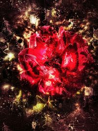 Firework display at night