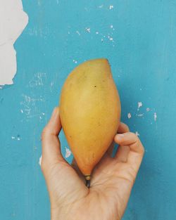 Close-up of hand holding mango against wall