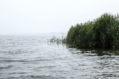 Scenic view of calm sea against clear sky