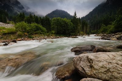 Scenic view of river flowing in forest against sky