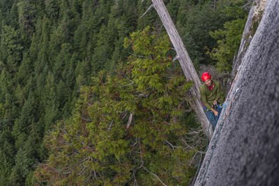 Man sitting on big tree very high on wall rock climbing on granite