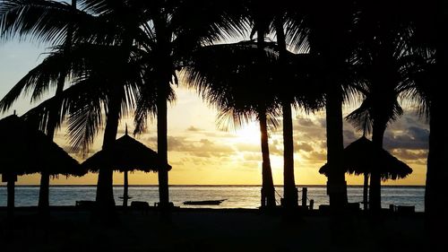 Silhouette palm trees on beach against sky during sunset