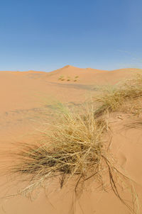 Scenic view of desert against clear blue sky