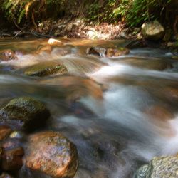 Scenic view of waterfall