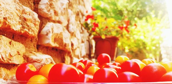 Close-up of red bell peppers