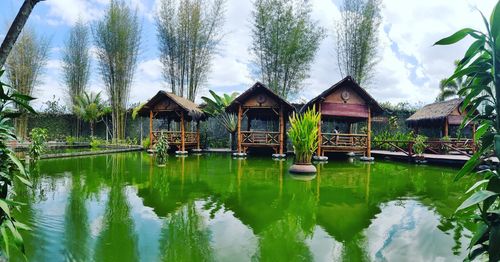 Houses by lake and trees against sky
