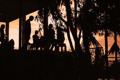 View of trees at sunset