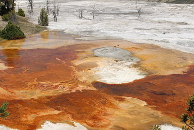 High angle view of wet land