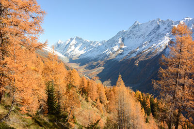 Scenic view of snowcapped mountains against clear sky