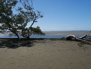 Scenic view of beach against clear sky