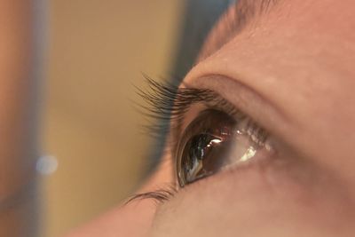 Close-up of woman eye