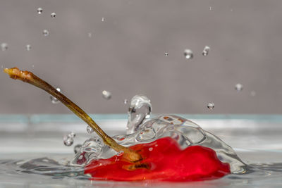 Close-up of water drop falling on red leaf