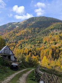 autumn
