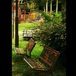 Empty bench in park