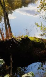 High angle view of a lake