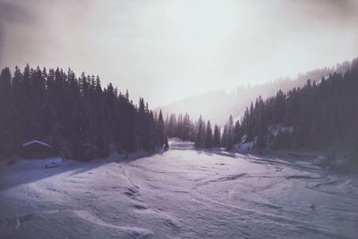 Scenic view of snow covered landscape
