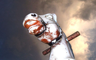 Close-up of turtle against sky