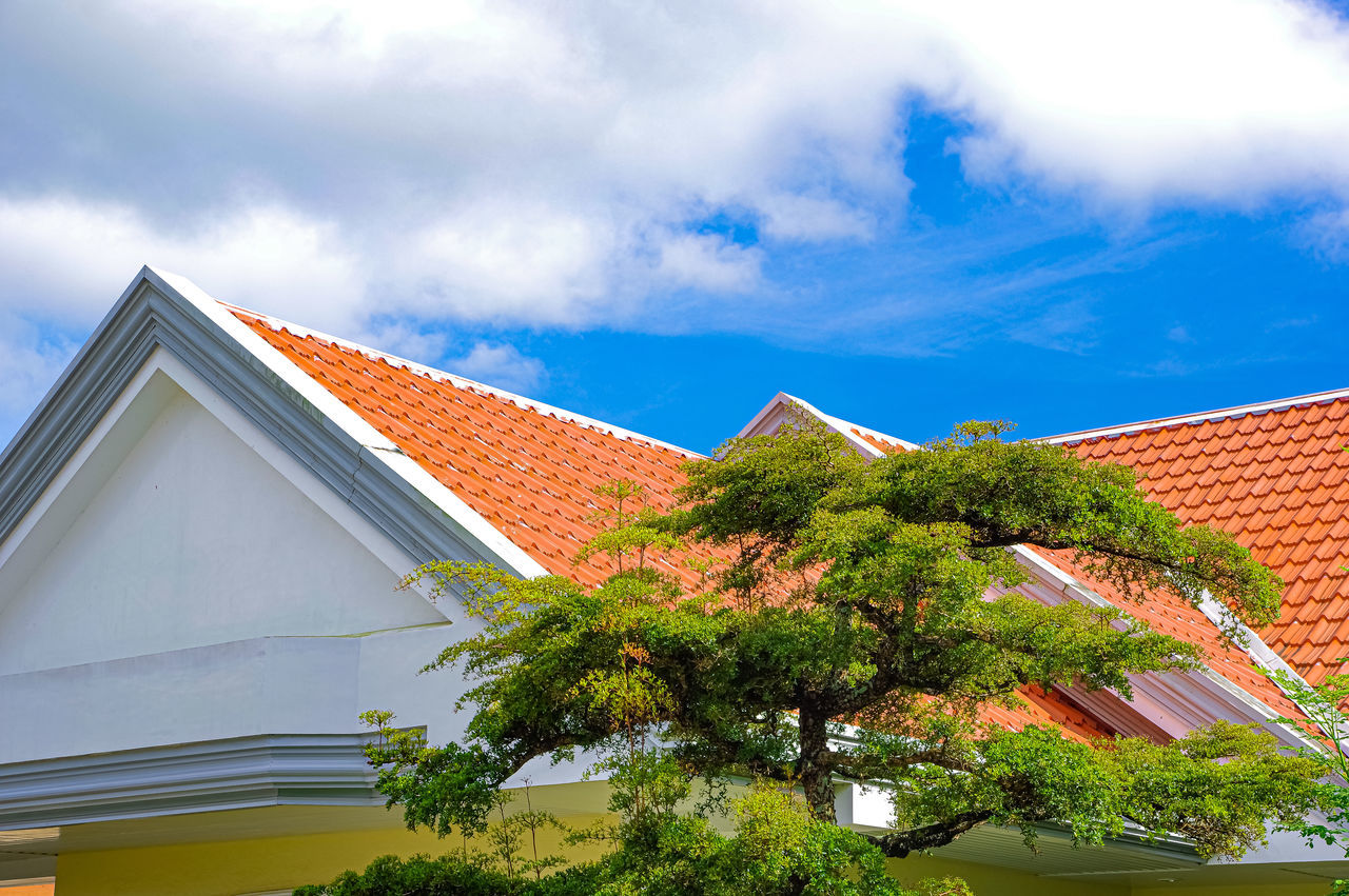 LOW ANGLE VIEW OF HOUSE AND TREE AGAINST SKY