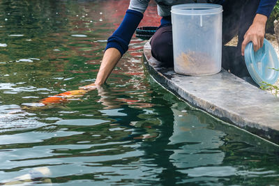 Asian male worker take care and feeding food by hand to his lovely koi carps fish.