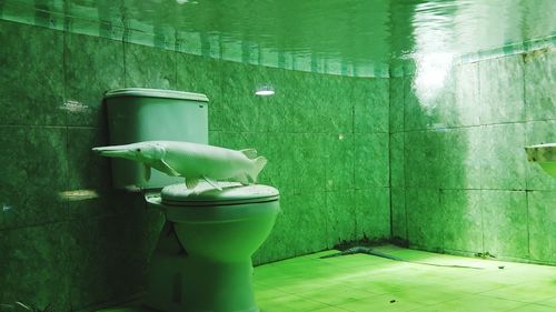 Potted plant on table in bathroom