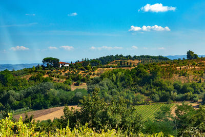 Scenic view of trees and buildings against sky