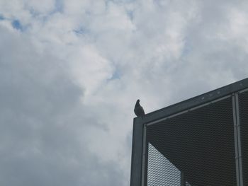 Low angle view of birds flying against cloudy sky