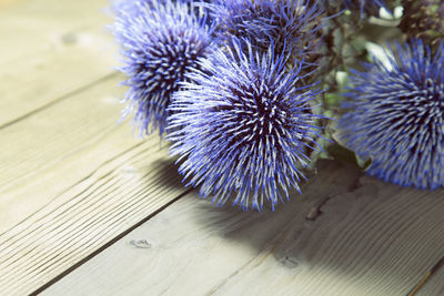 Close-up of flowers