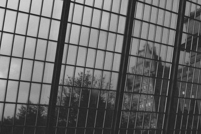 Full frame shot of glass window of building