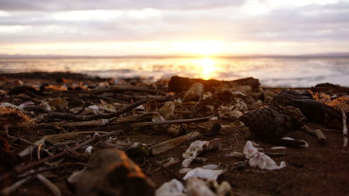 Close-up of beach against sky during sunset