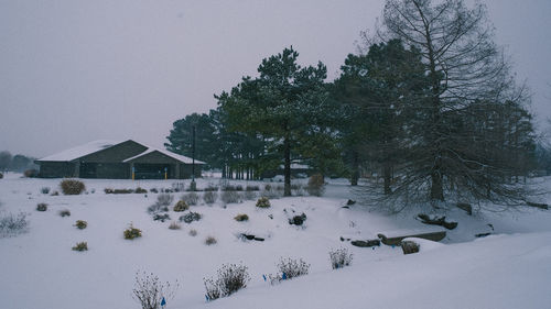 snow