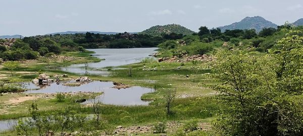 Scenic view of lake against sky