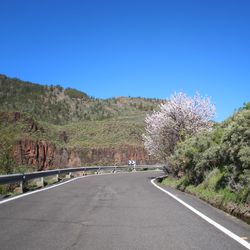 Road amidst trees against clear blue sky