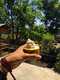 Person holding ice cream cone against trees