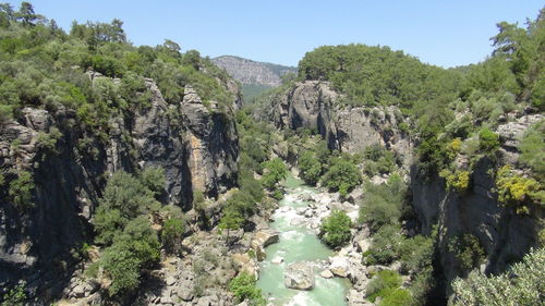 Panoramic shot of trees and rocks against sky