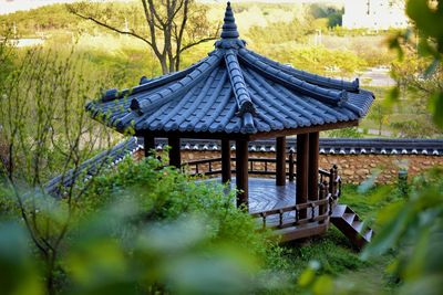 View of temple roof