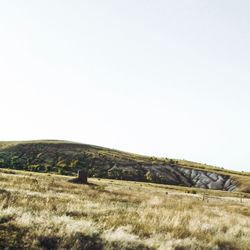 Scenic view of field against clear sky