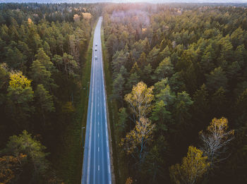 High angle view of road amidst trees in forest