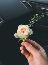 Close-up of hand holding rose