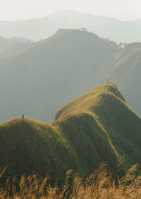 A tourist standing in the middle of the golden mountains in the evening before sunset