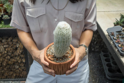 Midsection of woman holding cactus
