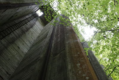 Low angle view of trees and building