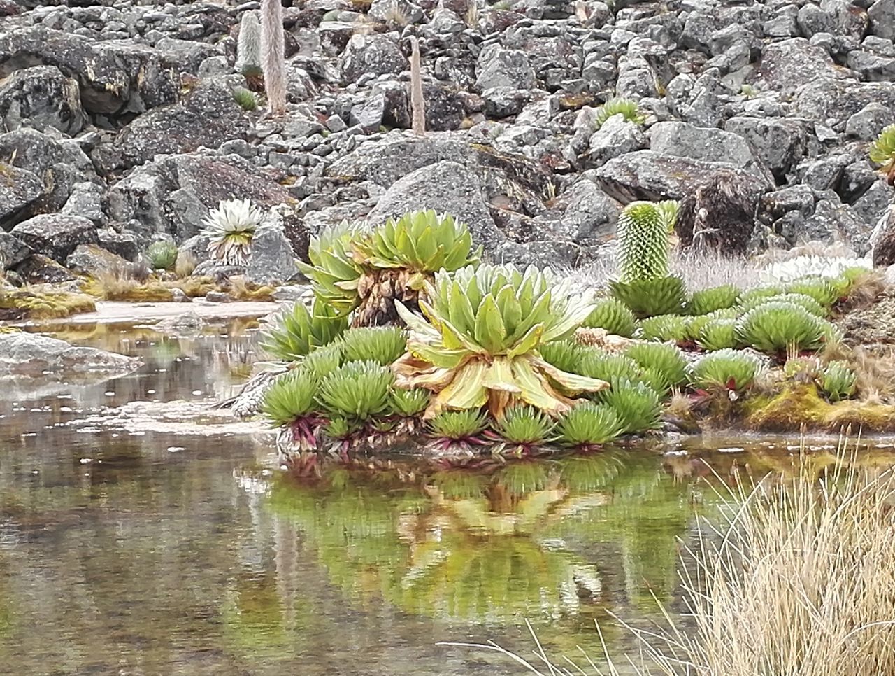 Lake on the horseback route